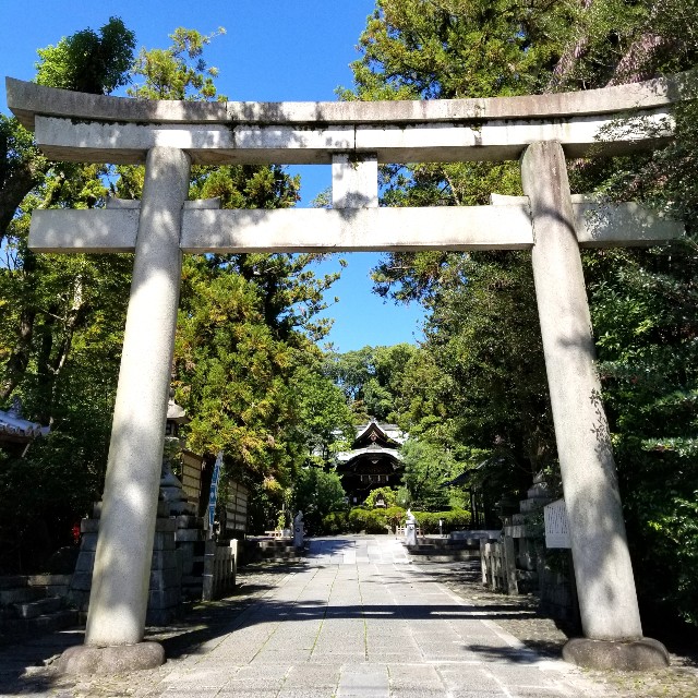 f:id:atoriatoriatori:20211001203240j:image