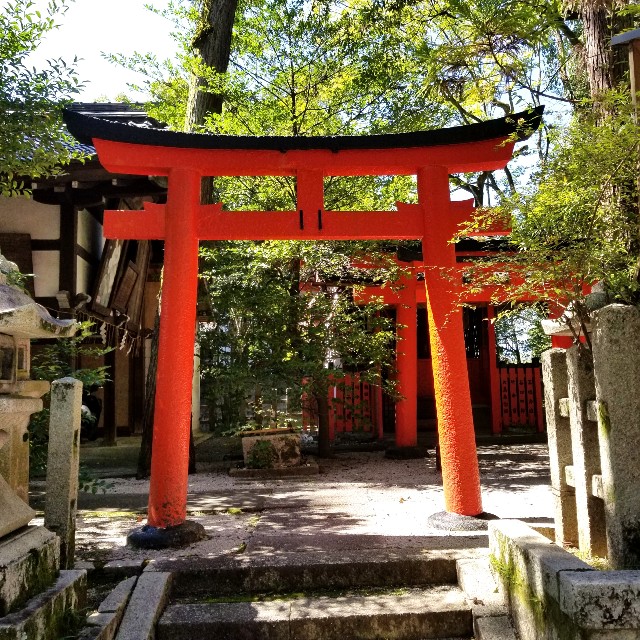 f:id:atoriatoriatori:20211001211259j:image