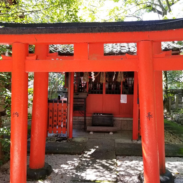 f:id:atoriatoriatori:20211001211308j:image
