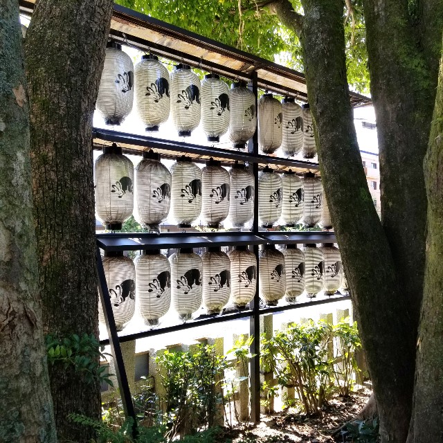 f:id:atoriatoriatori:20211001223246j:image