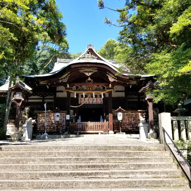 f:id:atoriatoriatori:20211002104639j:image