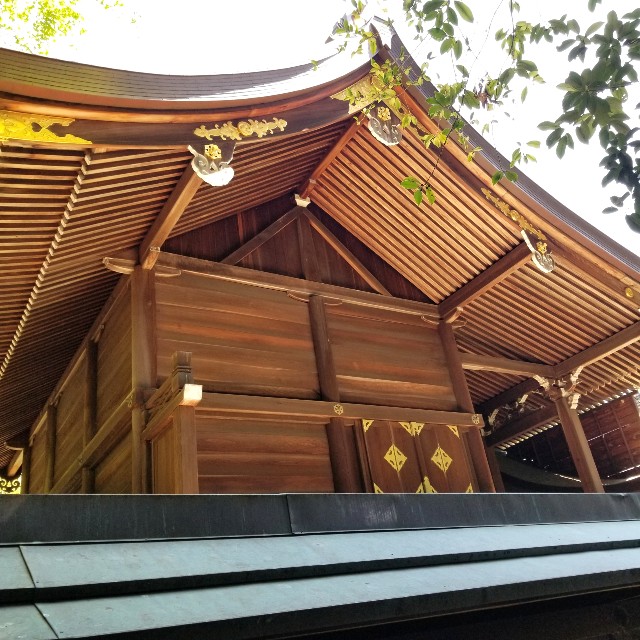 f:id:atoriatoriatori:20211002202611j:image