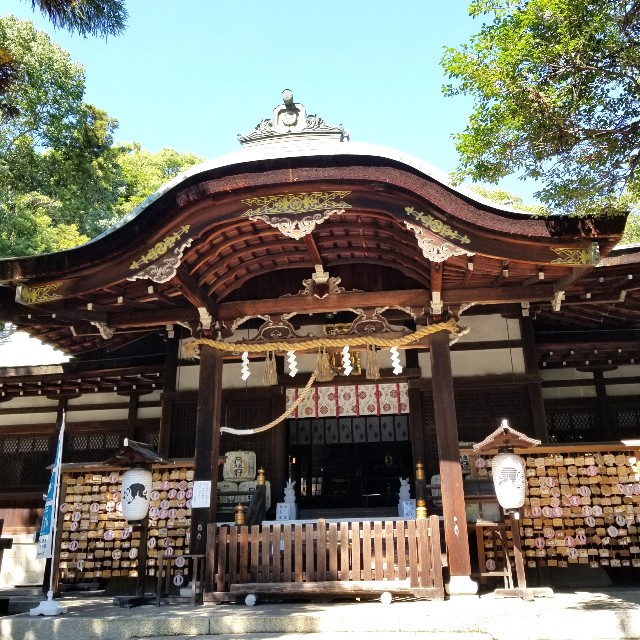 f:id:atoriatoriatori:20211002203837j:image