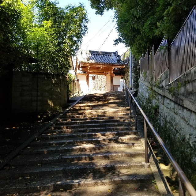 f:id:atoriatoriatori:20211003114643j:image f:id:atoriatoriatori:20211003114643j:image