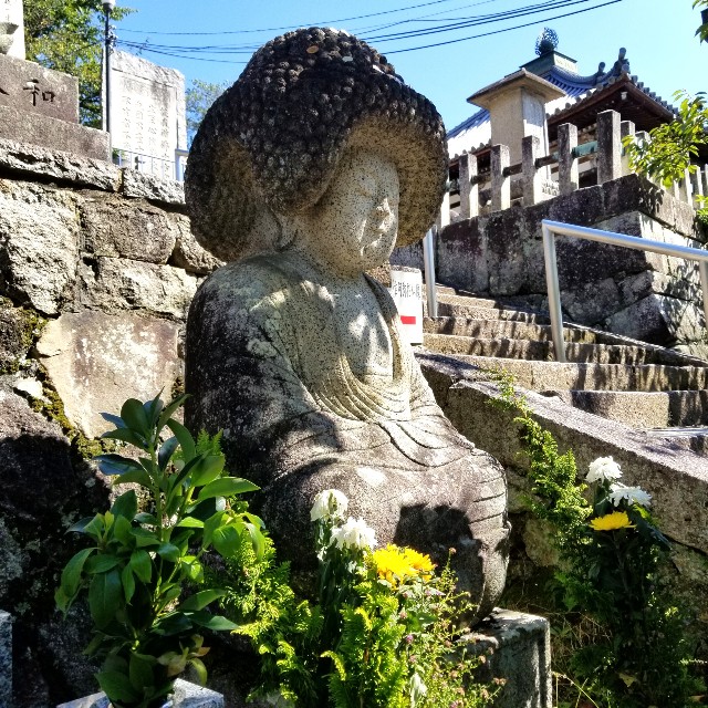 f:id:atoriatoriatori:20211003150832j:image f:id:atoriatoriatori:20211003150832j:image