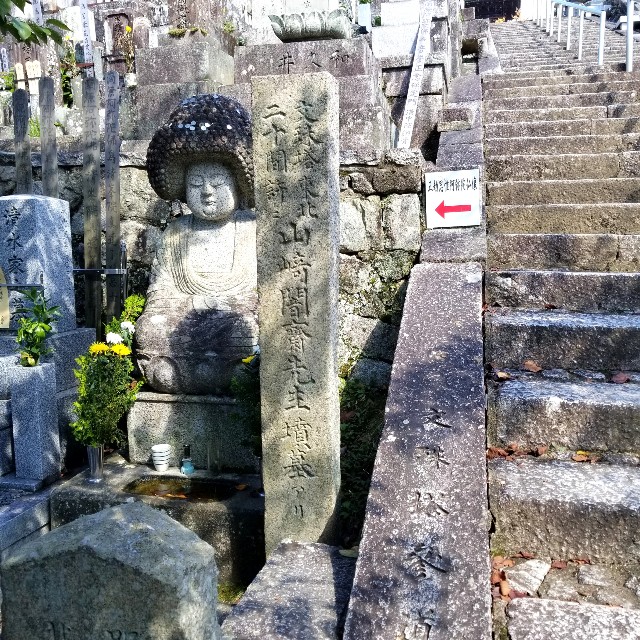 f:id:atoriatoriatori:20211003172307j:image f:id:atoriatoriatori:20211003172307j:image
