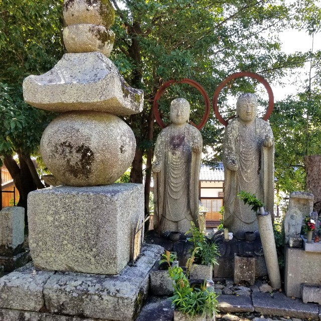 f:id:atoriatoriatori:20211004181210j:image f:id:atoriatoriatori:20211004181210j:image