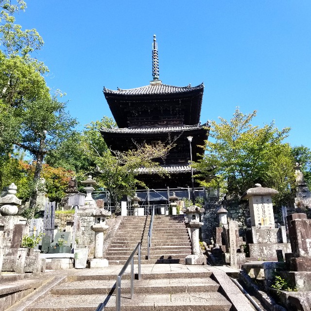 f:id:atoriatoriatori:20211004182421j:image f:id:atoriatoriatori:20211004182421j:image