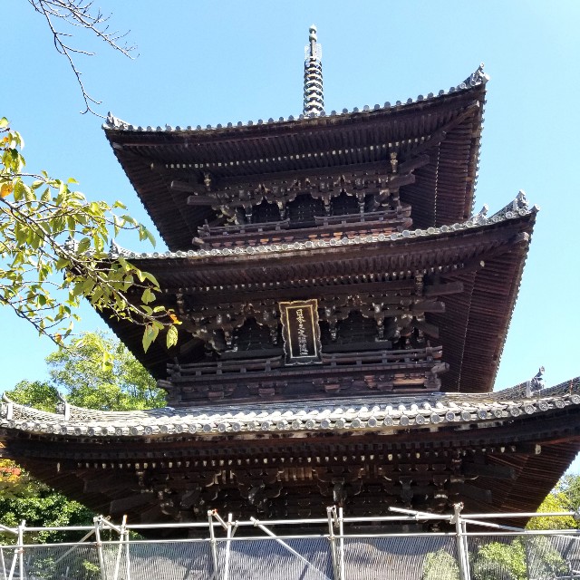 f:id:atoriatoriatori:20211004182427j:image f:id:atoriatoriatori:20211004182427j:image