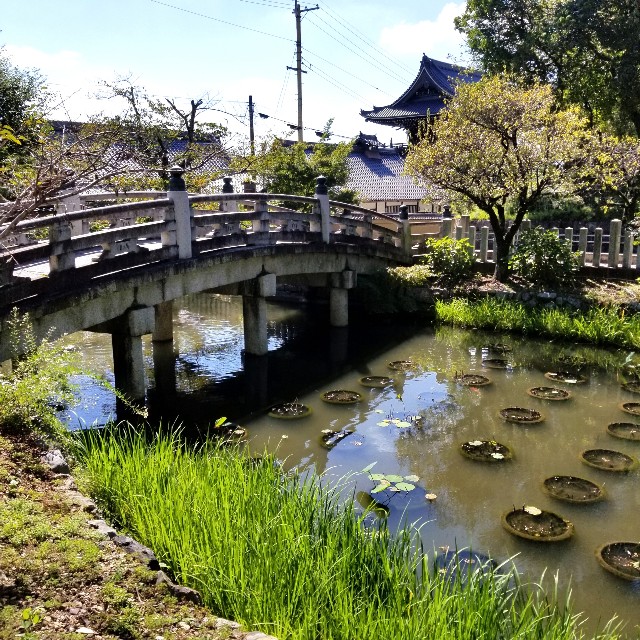 f:id:atoriatoriatori:20211005084418j:image f:id:atoriatoriatori:20211005084418j:image