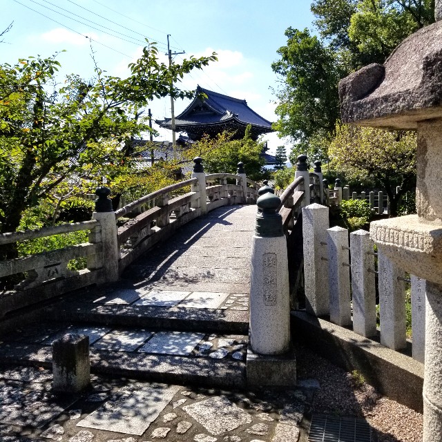 f:id:atoriatoriatori:20211005084427j:image f:id:atoriatoriatori:20211005084427j:image