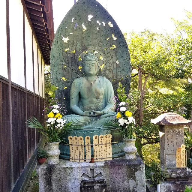 f:id:atoriatoriatori:20211005084815j:image f:id:atoriatoriatori:20211005084815j:image
