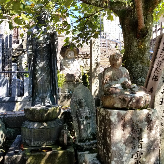f:id:atoriatoriatori:20211005094655j:image f:id:atoriatoriatori:20211005094655j:image