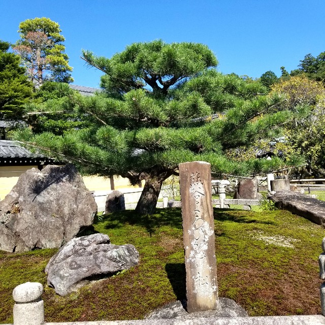 f:id:atoriatoriatori:20211005105316j:image f:id:atoriatoriatori:20211005105316j:image