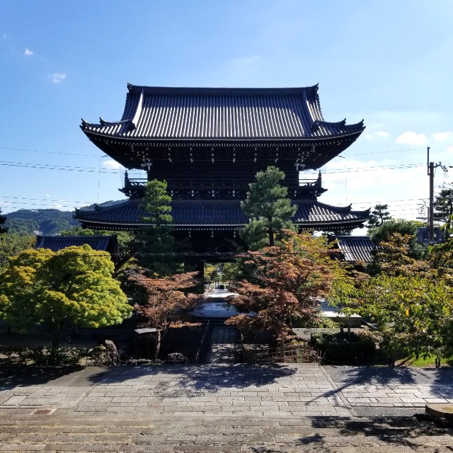 f:id:atoriatoriatori:20211006125145j:image f:id:atoriatoriatori:20211006125145j:image