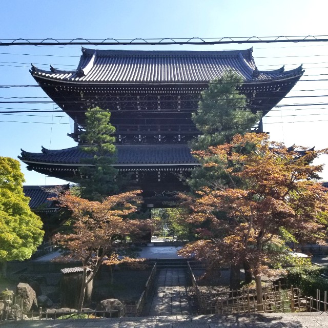 f:id:atoriatoriatori:20211006125158j:image f:id:atoriatoriatori:20211006125158j:image