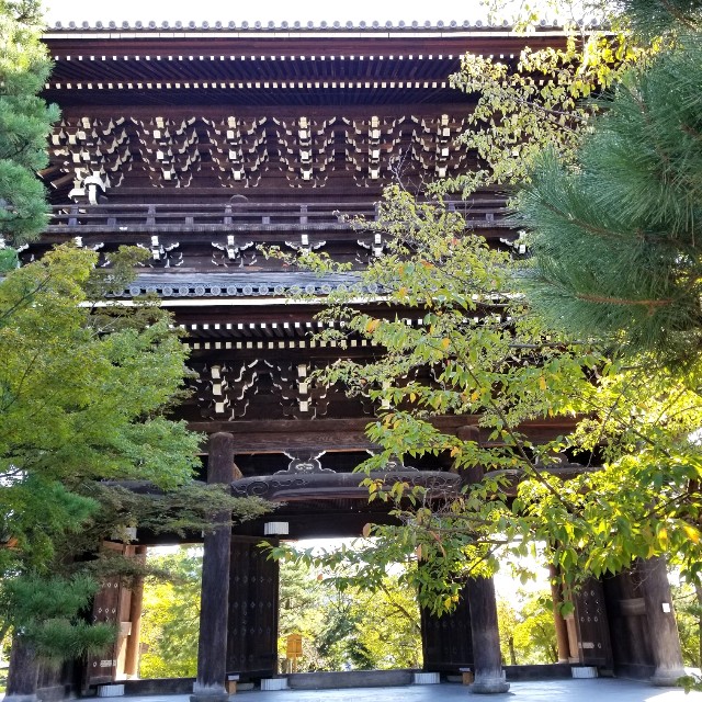 f:id:atoriatoriatori:20211006125214j:image f:id:atoriatoriatori:20211006125214j:image