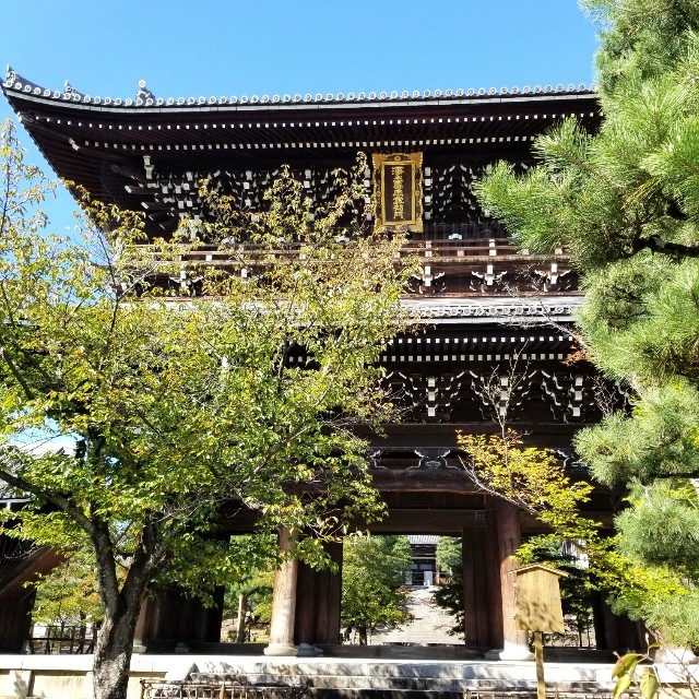 f:id:atoriatoriatori:20211006130046j:image f:id:atoriatoriatori:20211006130046j:image