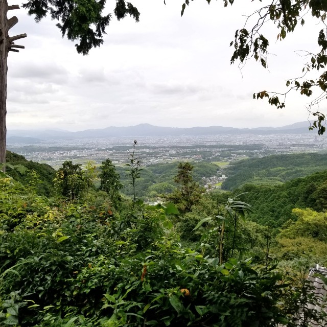 f:id:atoriatoriatori:20211011104944j:image
