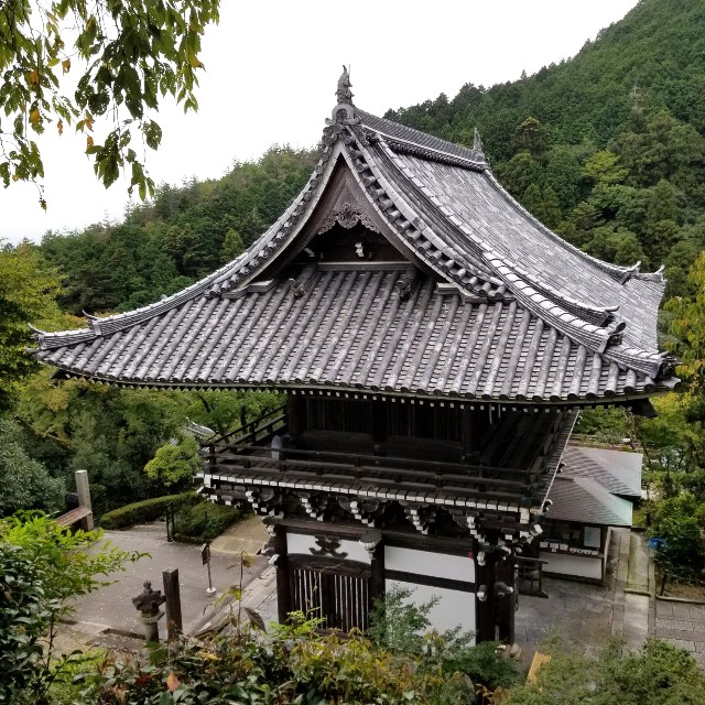 f:id:atoriatoriatori:20211011105034j:image
