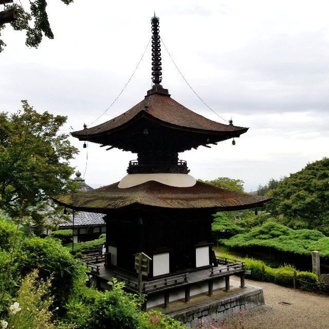 f:id:atoriatoriatori:20211011115250j:image