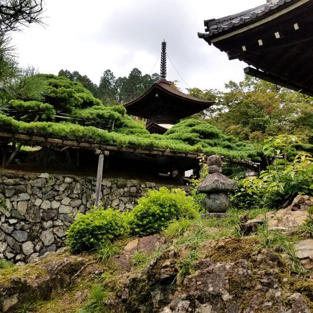 f:id:atoriatoriatori:20211011120000j:image