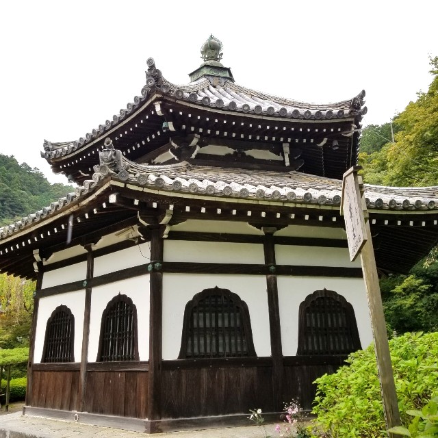 f:id:atoriatoriatori:20211011120015j:image