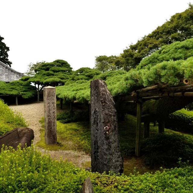 f:id:atoriatoriatori:20211011120021j:image