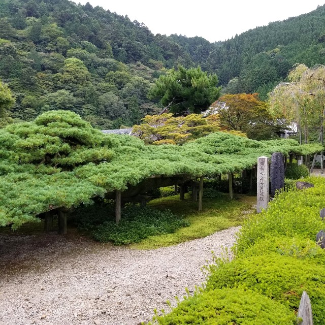 f:id:atoriatoriatori:20211012095653j:image