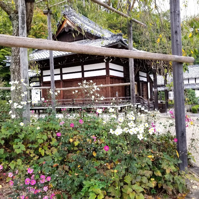 f:id:atoriatoriatori:20211012112940j:image