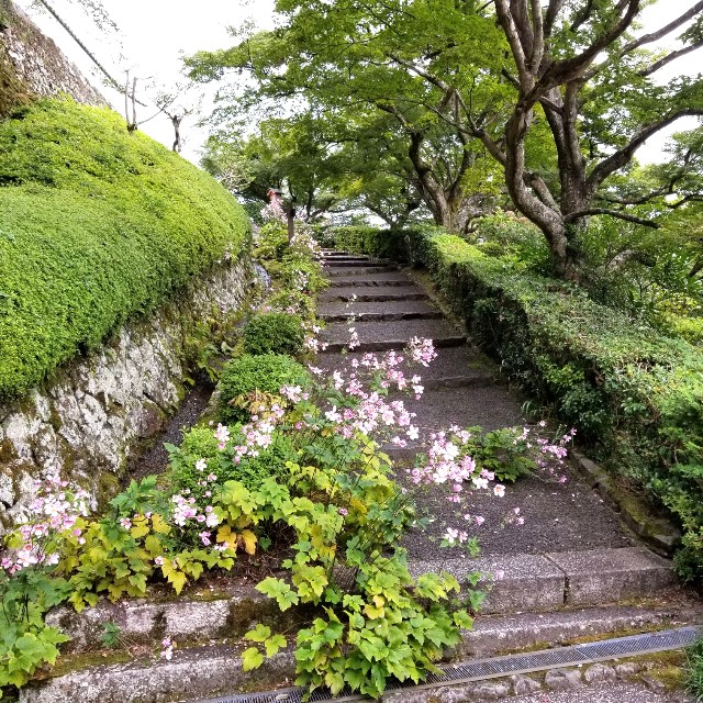 f:id:atoriatoriatori:20211012145428j:image