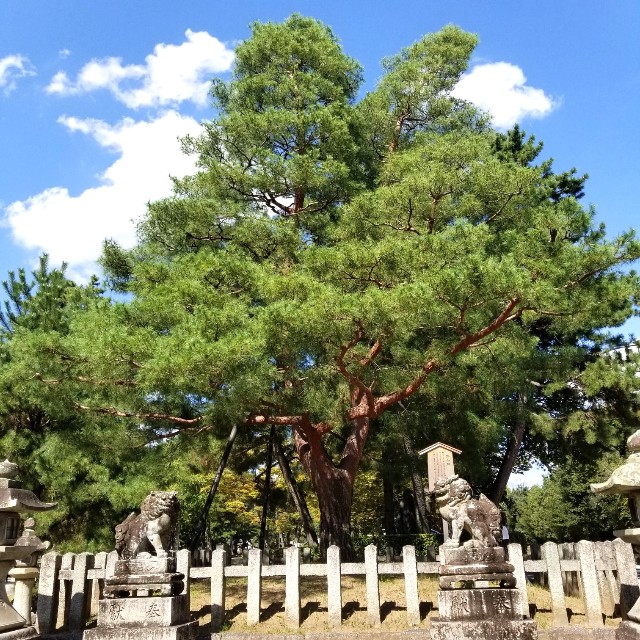 f:id:atoriatoriatori:20211012204233j:image f:id:atoriatoriatori:20211012204233j:image