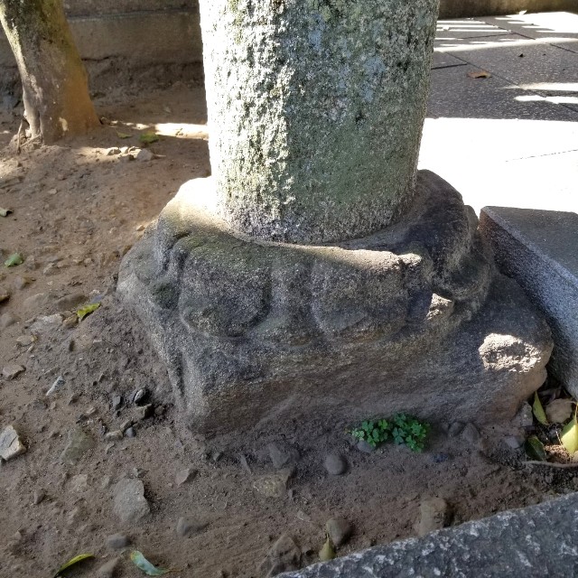 f:id:atoriatoriatori:20211012221410j:image f:id:atoriatoriatori:20211012221410j:image