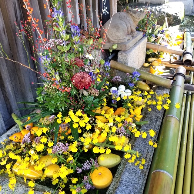 f:id:atoriatoriatori:20211012222545j:image f:id:atoriatoriatori:20211012222545j:image