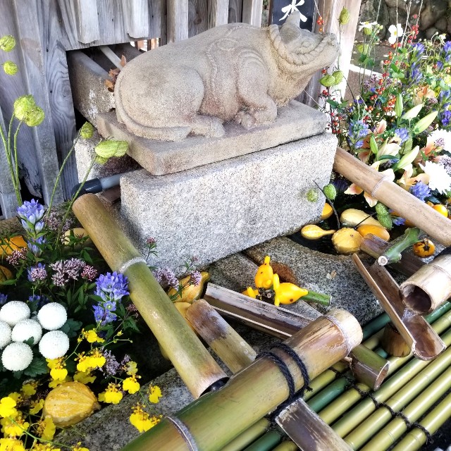 f:id:atoriatoriatori:20211013100312j:image f:id:atoriatoriatori:20211013100312j:image