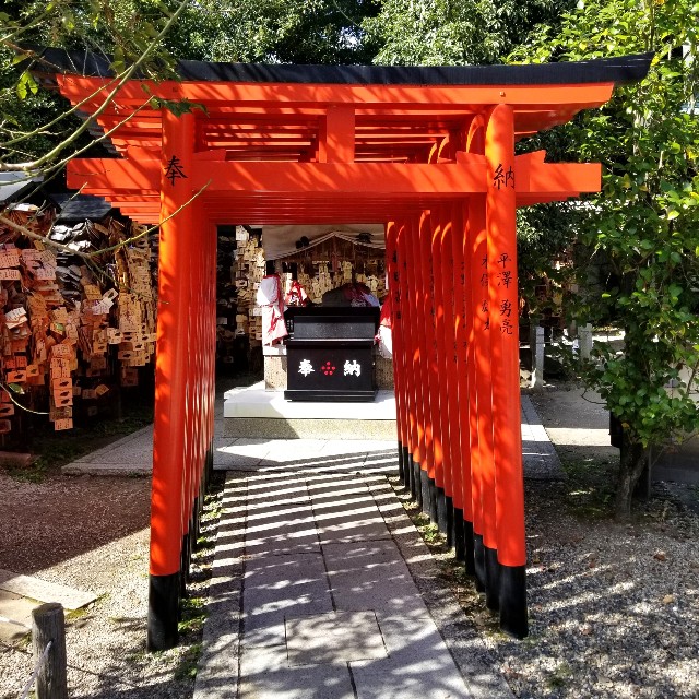 f:id:atoriatoriatori:20211015091905j:image
