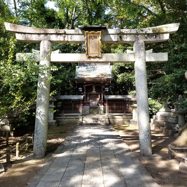 f:id:atoriatoriatori:20211015093841j:image