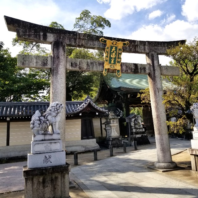f:id:atoriatoriatori:20211015094836j:image