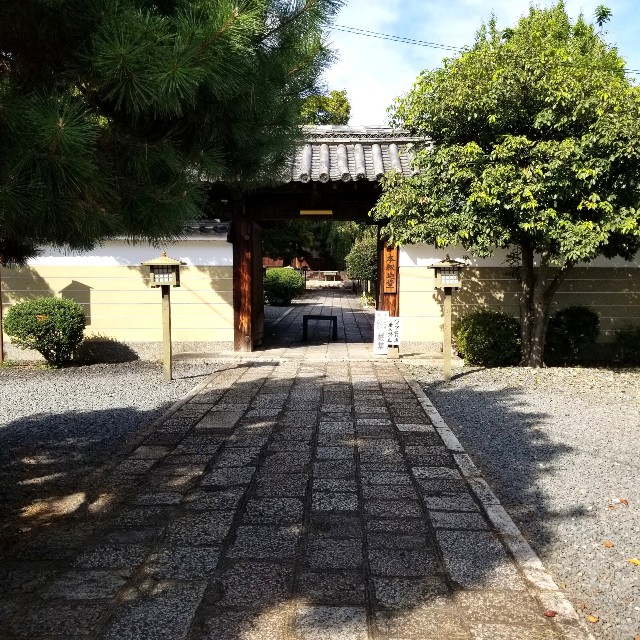 f:id:atoriatoriatori:20211015230326j:image