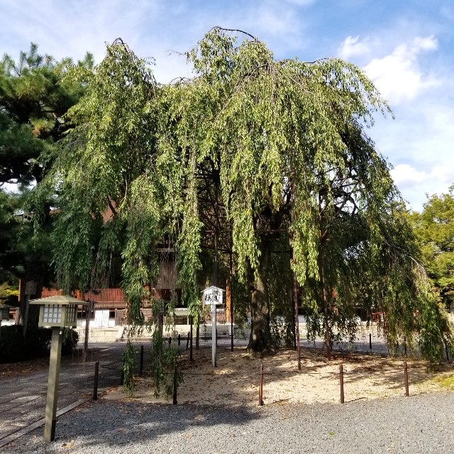f:id:atoriatoriatori:20211016211056j:image