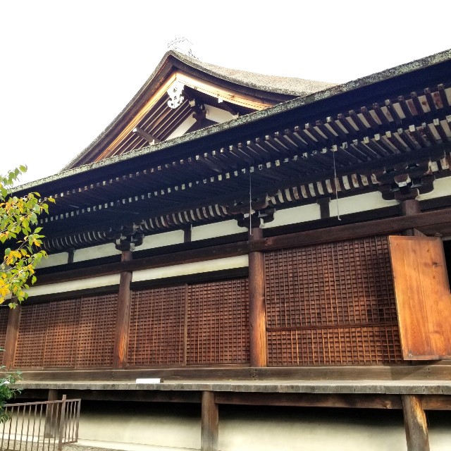 f:id:atoriatoriatori:20211016212143j:image