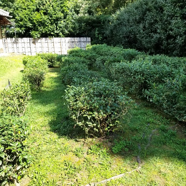 f:id:atoriatoriatori:20211021220934j:image f:id:atoriatoriatori:20211021220934j:image