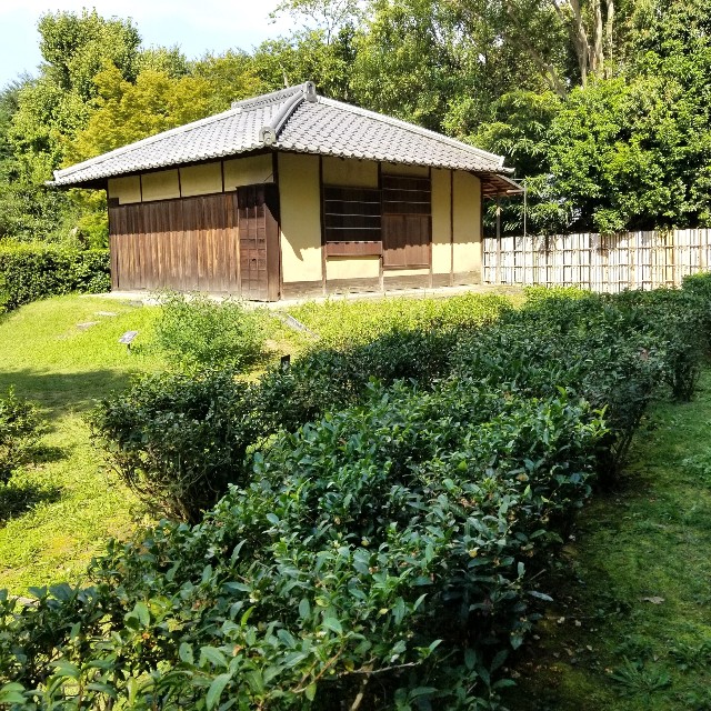 f:id:atoriatoriatori:20211021220941j:image f:id:atoriatoriatori:20211021220941j:image