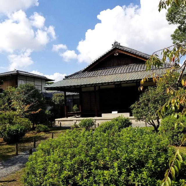 f:id:atoriatoriatori:20211022132822j:image f:id:atoriatoriatori:20211022132822j:image