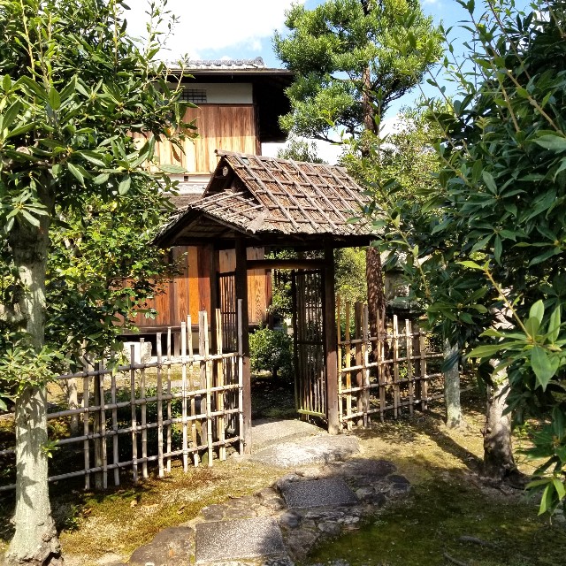 f:id:atoriatoriatori:20211022141102j:image f:id:atoriatoriatori:20211022141102j:image