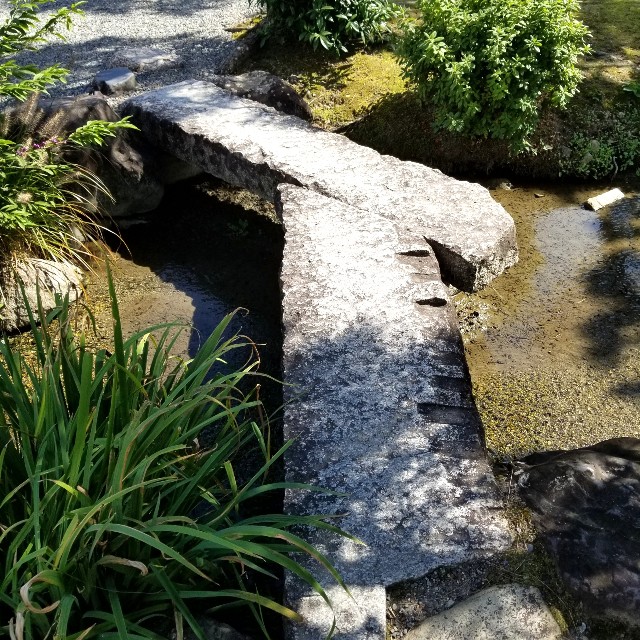 f:id:atoriatoriatori:20211022174344j:image f:id:atoriatoriatori:20211022174344j:image