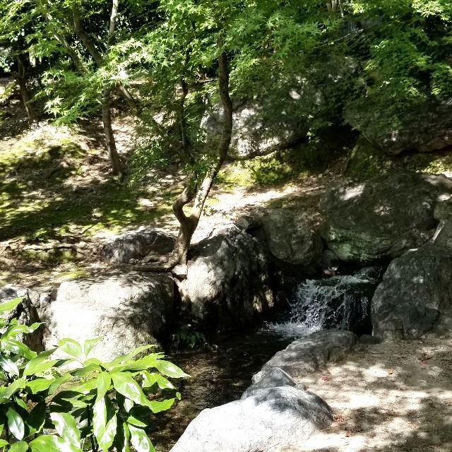 f:id:atoriatoriatori:20211022211104j:image f:id:atoriatoriatori:20211022211104j:image
