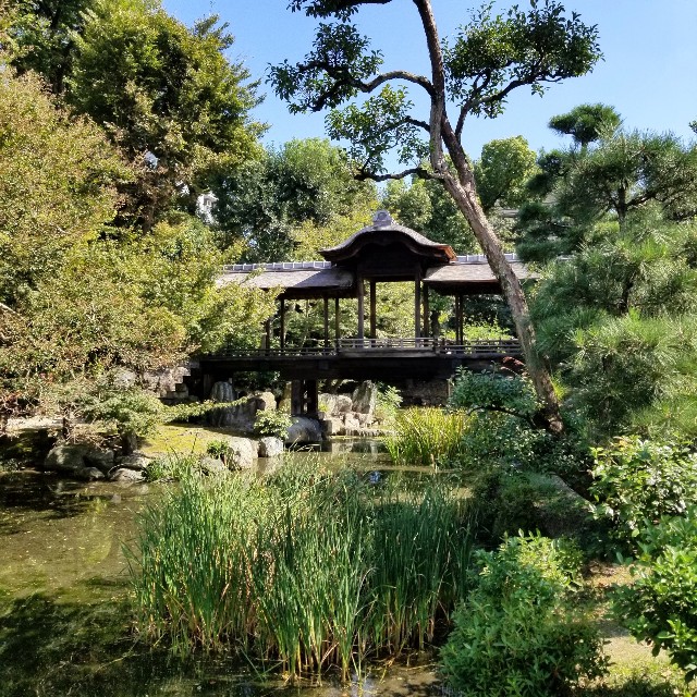 f:id:atoriatoriatori:20211023170155j:image f:id:atoriatoriatori:20211023170155j:image