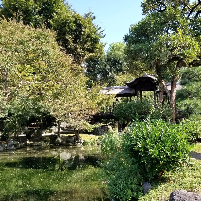 f:id:atoriatoriatori:20211023170204j:image f:id:atoriatoriatori:20211023170204j:image