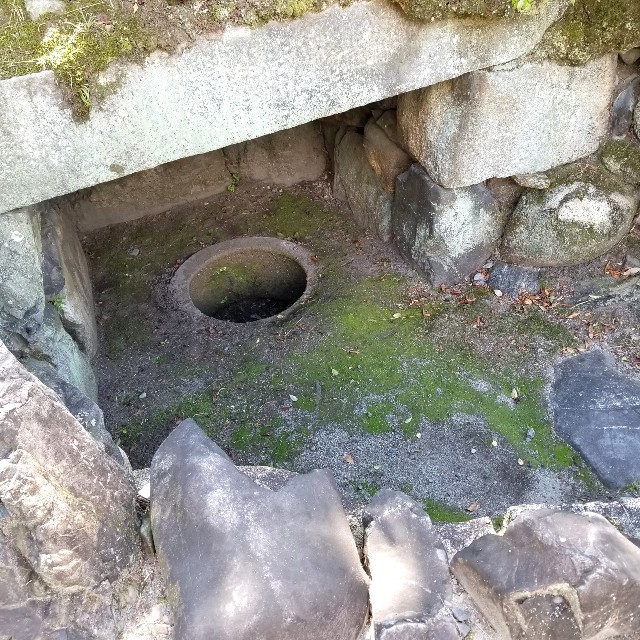 f:id:atoriatoriatori:20211023170217j:image f:id:atoriatoriatori:20211023170217j:image